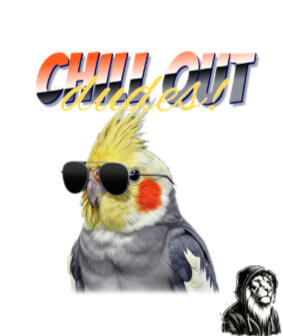 Chill Out Dudes!