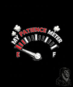 My Patience Meter