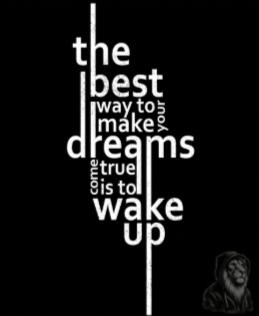 The best way to make your dreams come true is to wake up