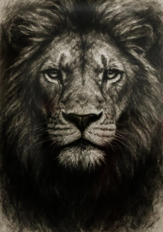 Confident Lion